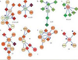 health informatics
